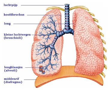 COPD